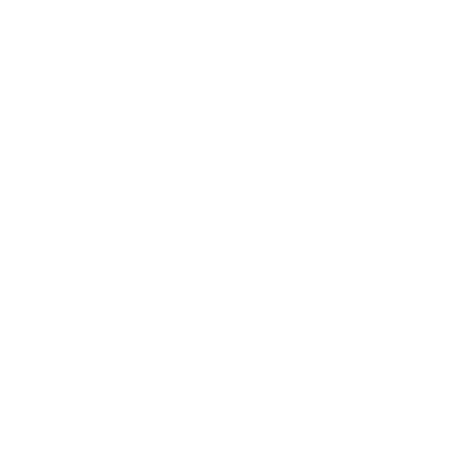 Icone Élections