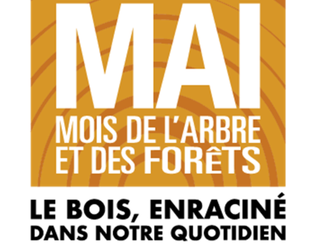 Distribution de jeunes plants d'arbres devant l'Édifice municipal samedi le 20 mai de 10h à 12h30