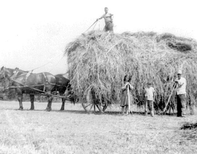 Sur la ferme