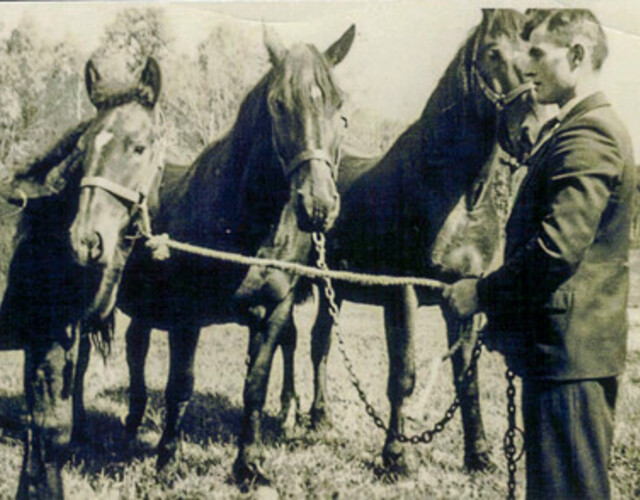 Léo avec ses chevaux