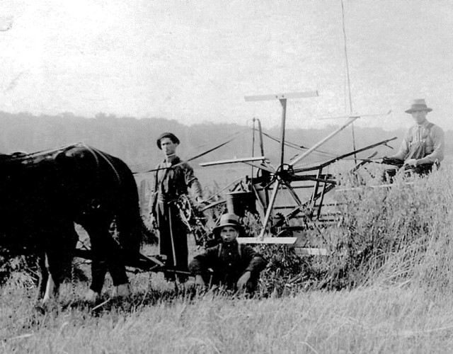 Première moissonneuse dans le comté de Frontenac